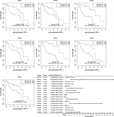 TRPM4 and TRPV2 are two novel prognostic biomarkers and promising targeted therapy in UVM